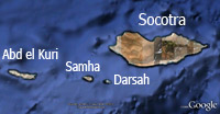 Welcome to Socotra