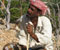 4_Shepherd-from-Homhill_Bohdana-Rambouskova-20091118-130810.jpg