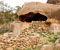 8_Home-near-manifo-large-20091112-082240.jpg
