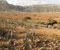 9_Homhill-small-20091112-082303.jpg
