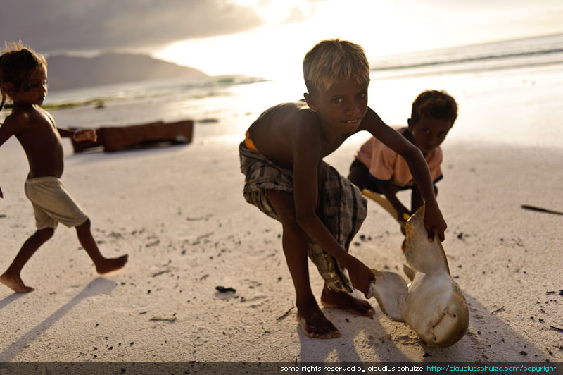 Beach-20110128-132157.jpg
